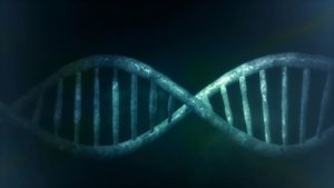 Huella dactilar para detectar jamones fraudulentos