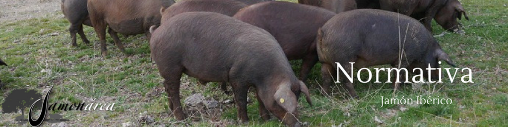 Normativa del ibérico sobre la calidad de los jamones y la clasificación de los cerdos.