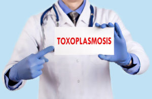 Anuncio de toxoplasmosis