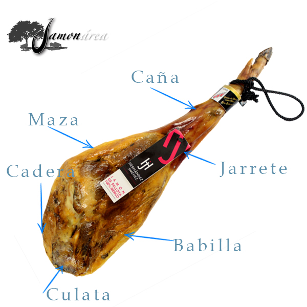 Partes de un jamón ibérico de Guijuelo