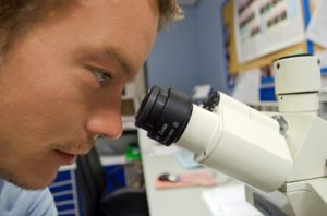 Laboratorio para detectar jamones fraudulentos