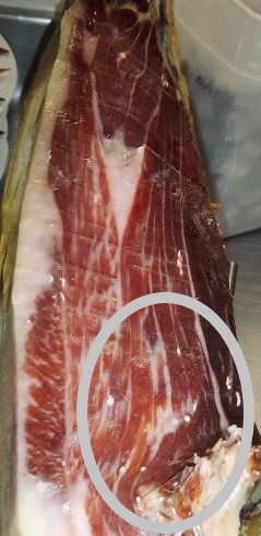 Cristal de tiroxina en jamón ibérico