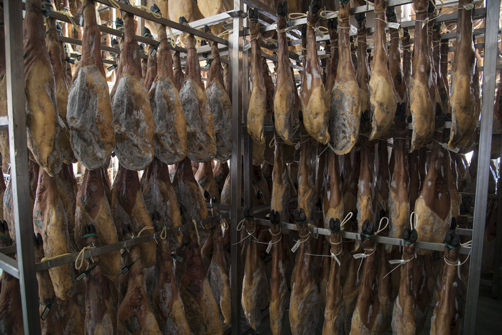 Paletas ibéricas colgadas en secadero